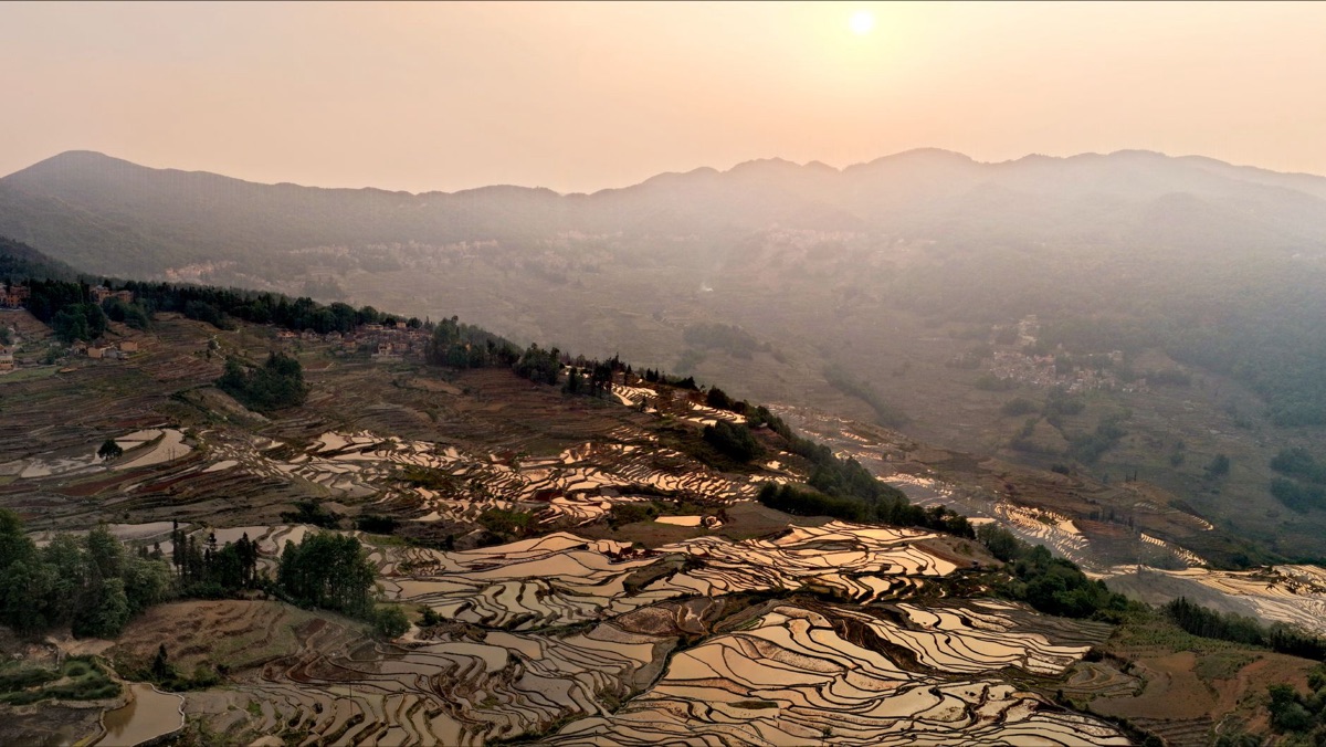 Landschaft der Teeberge in der Provinz Yunnan, China.