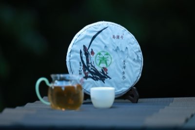 Vieillissement Pu-erh : 10 ans de saveurs grâce aux microbes