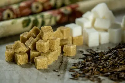 Sweet Leaf initial production: Guide to organic tea journey