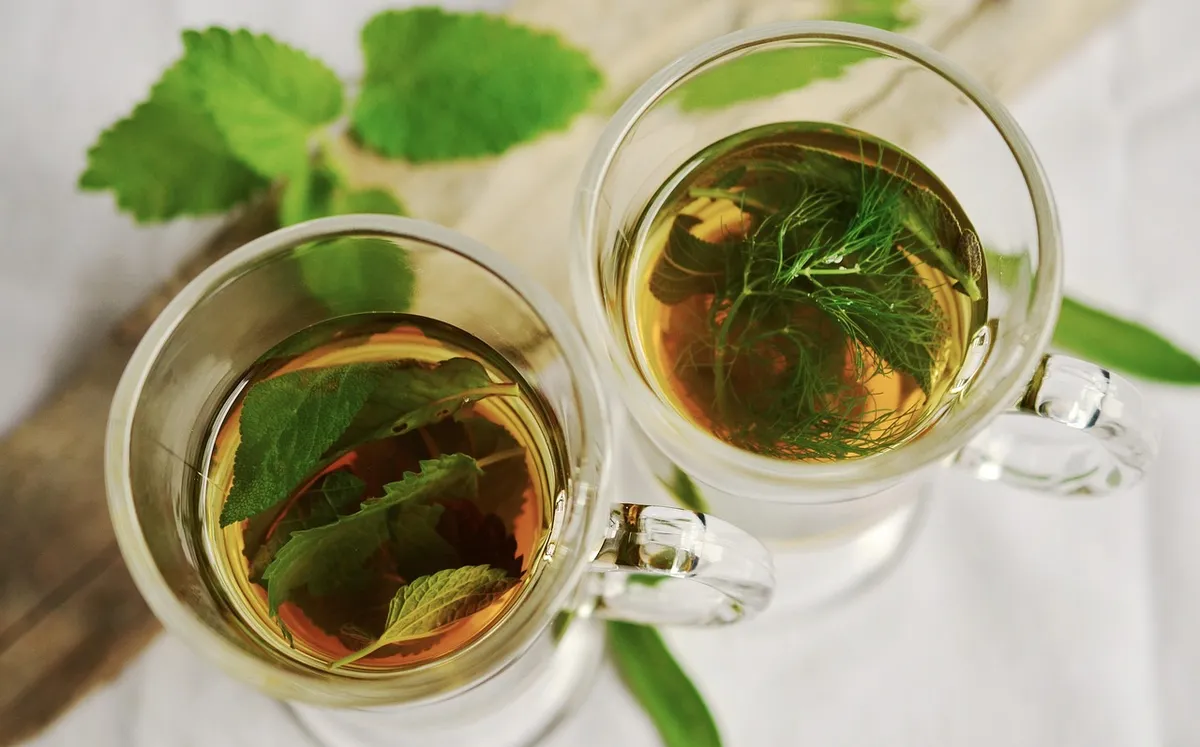 herbal tea, tea, herbs, cups, nature, teacups, drinks, beverages, mint, sage, fennel flavor, healthy, medicinal herbs, peppermint, leaves, tea herbs, herbal pla
